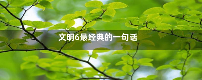 文明6最经典的一句话