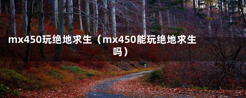 mx450玩绝地求生（mx450能玩绝地求生吗）