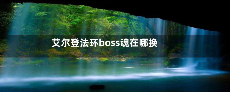 艾尔登法环boss魂在哪换