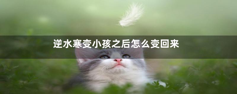 逆水寒变小孩之后怎么变回来