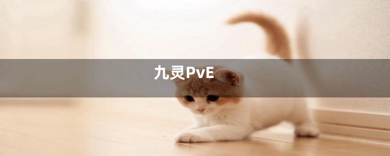 九灵PvE