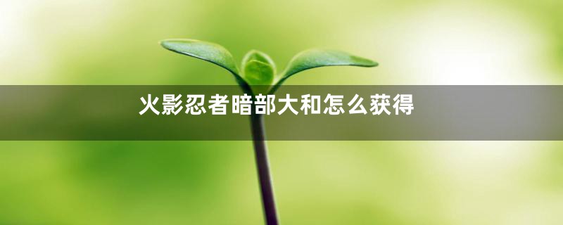 火影忍者暗部大和怎么获得