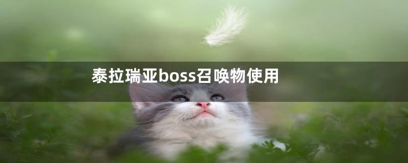 泰拉瑞亚boss召唤物使用