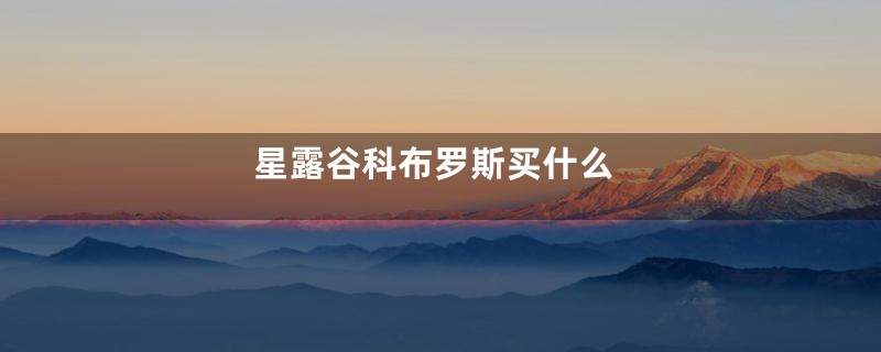 星露谷科布罗斯买什么