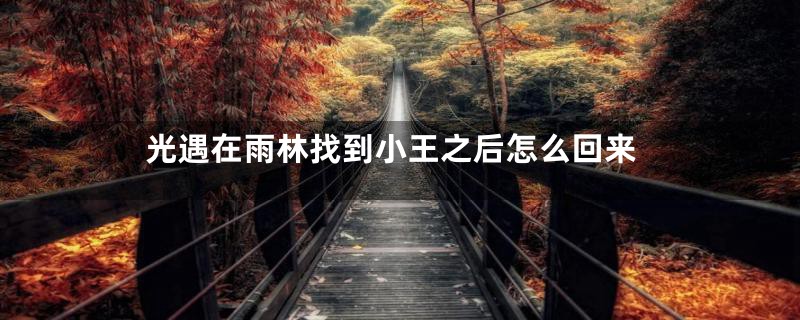 光遇在雨林找到小王之后怎么回来