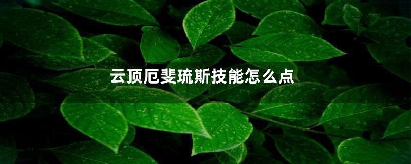 云顶厄斐琉斯技能怎么点