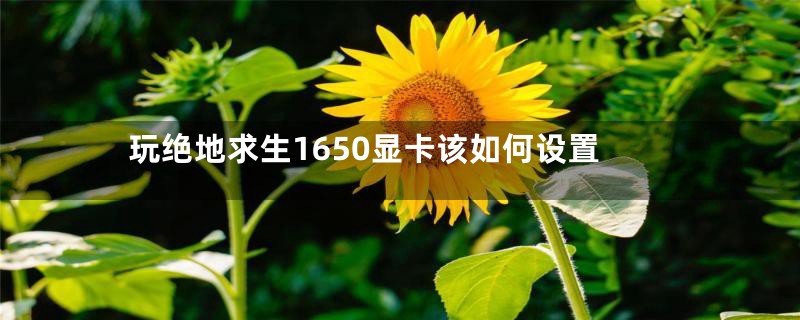 玩绝地求生1650显卡该如何设置