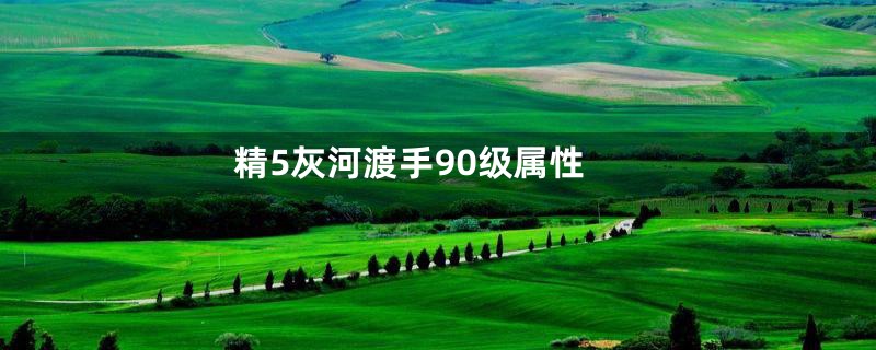 精5灰河渡手90级属性