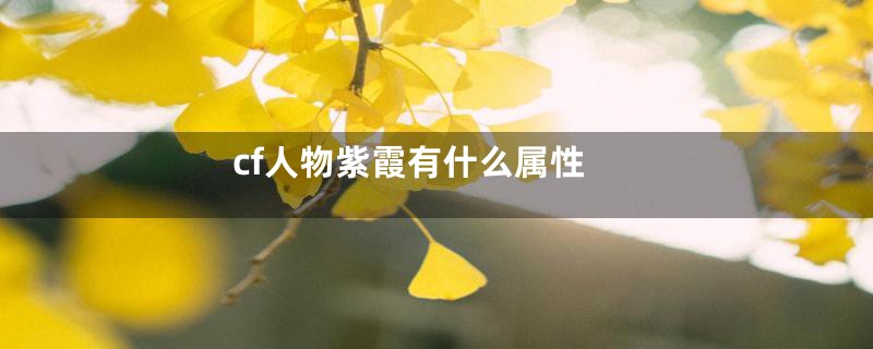 cf人物紫霞有什么属性