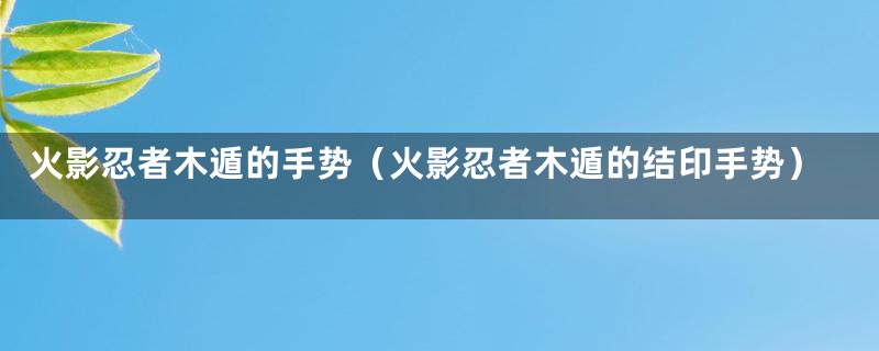 火影忍者木遁的手势（火影忍者木遁的结印手势）