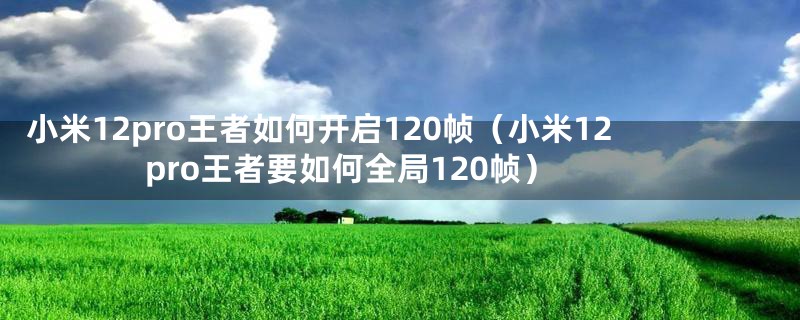 小米12pro王者如何开启120帧（小米12pro王者要如何全局120帧）