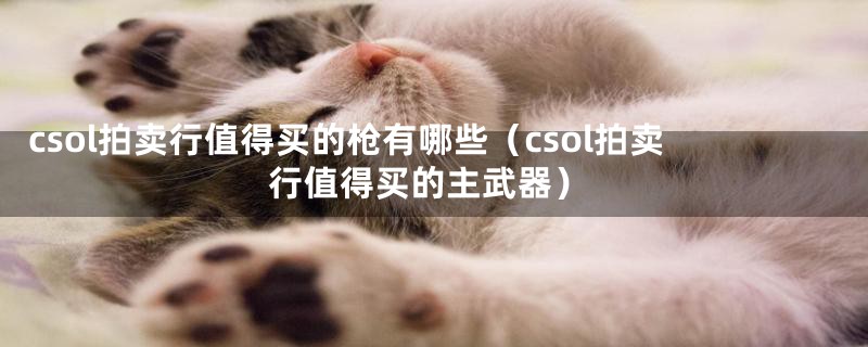 csol拍卖行值得买的枪有哪些（csol拍卖行值得买的主武器）