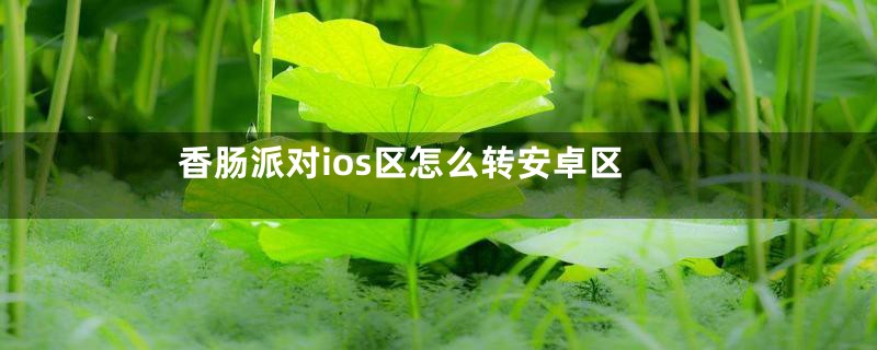 香肠派对ios区怎么转安卓区