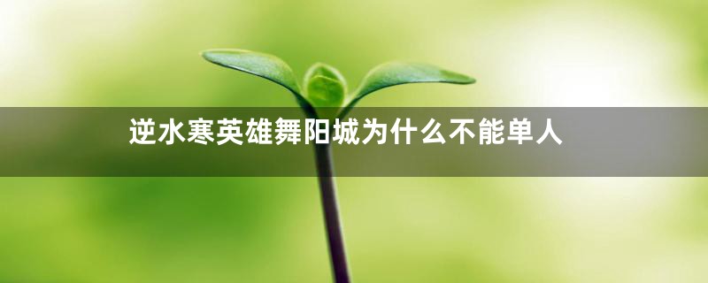 逆水寒英雄舞阳城为什么不能单人