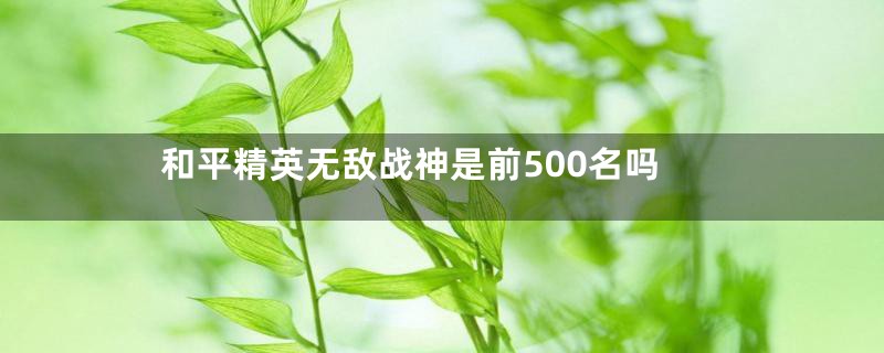 和平精英无敌战神是前500名吗