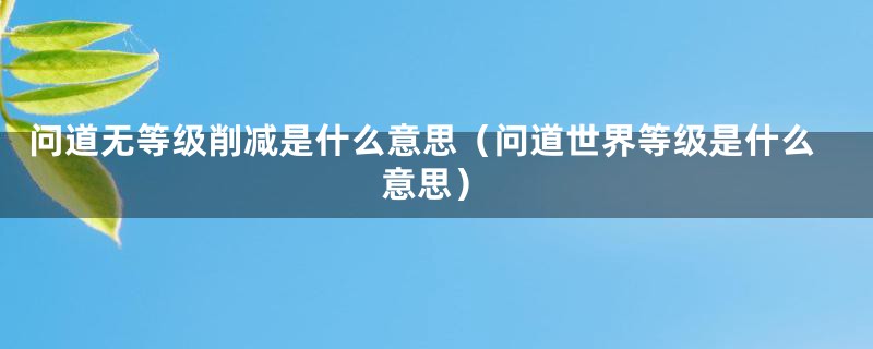 问道无等级削减是什么意思（问道世界等级是什么意思）