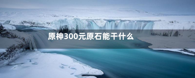 原神300元原石能干什么