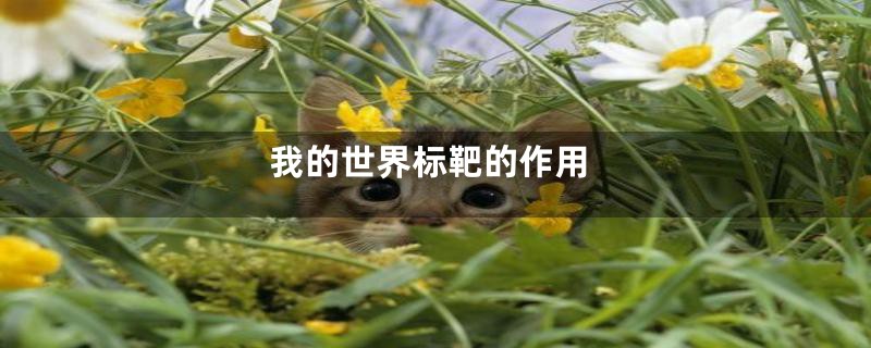 我的世界标靶的作用