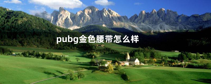 pubg金色腰带怎么样