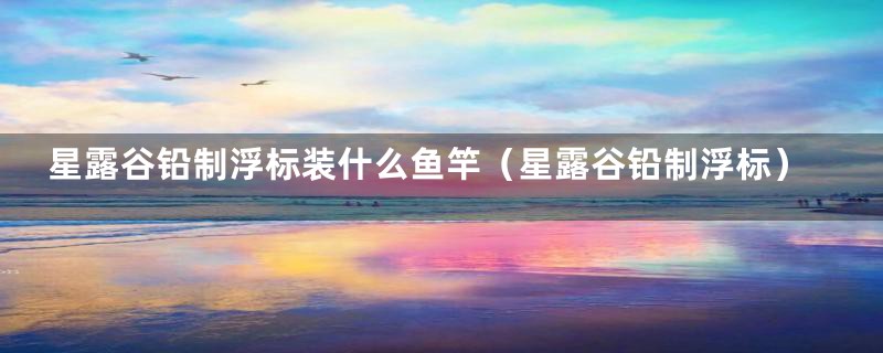 星露谷铅制浮标装什么鱼竿（星露谷铅制浮标）