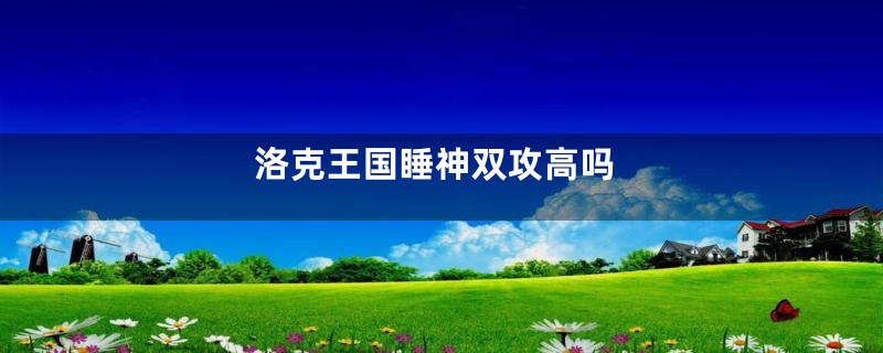 洛克王国睡神双攻高吗