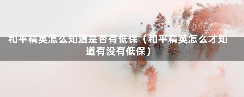 和平精英怎么知道是否有低保（和平精英怎么才知道有没有低保）