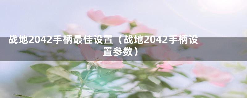 战地2042手柄最佳设置（战地2042手柄设置参数）