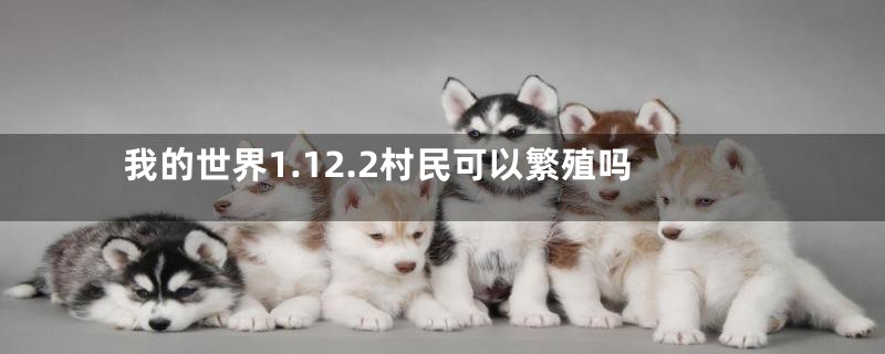 我的世界1.12.2村民可以繁殖吗