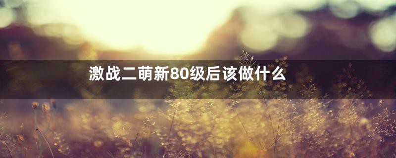 激战二萌新80级后该做什么