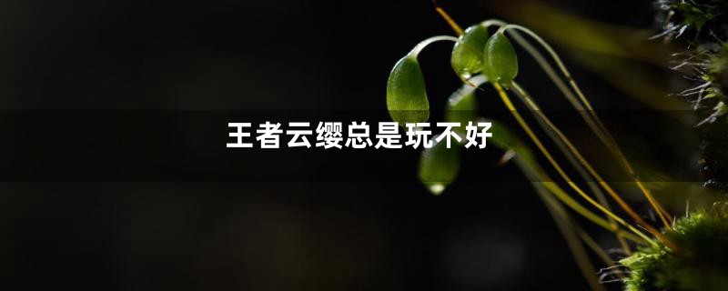 王者云缨总是玩不好