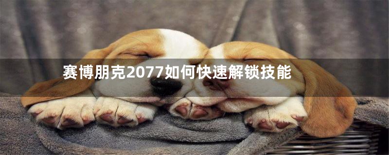 赛博朋克2077如何快速解锁技能