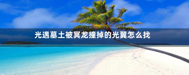 光遇墓土被冥龙撞掉的光翼怎么找