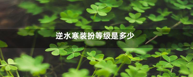 逆水寒装扮等级是多少