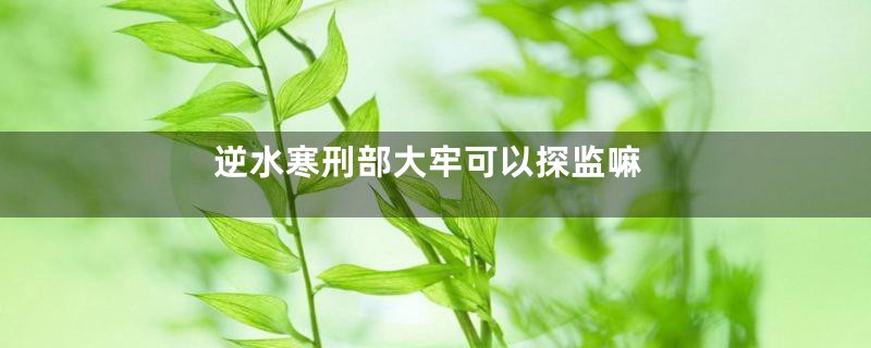 逆水寒刑部大牢可以探监嘛