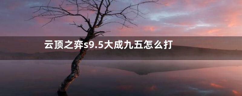 云顶之弈s9.5大成九五怎么打