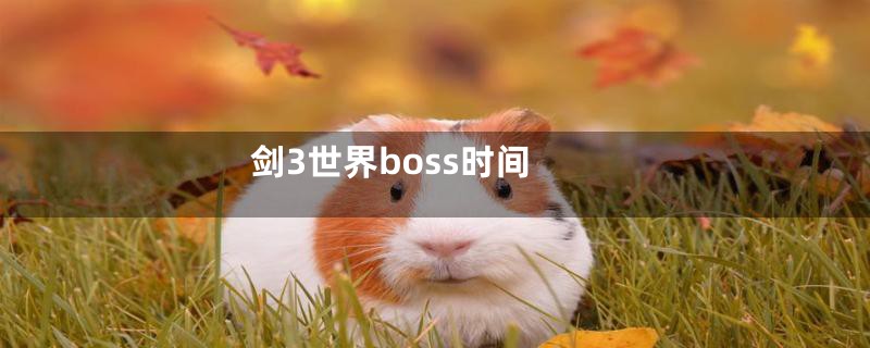 剑3世界boss时间