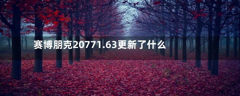 赛博朋克20771.63更新了什么