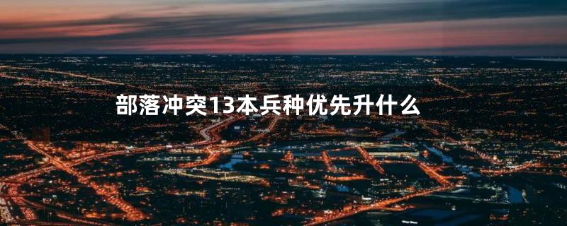 部落冲突13本兵种优先升什么