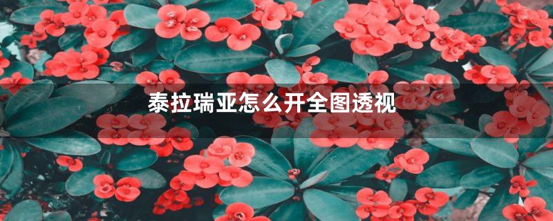 泰拉瑞亚怎么开全图透视