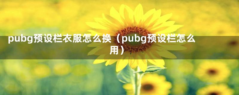 pubg预设栏衣服怎么换（pubg预设栏怎么用）