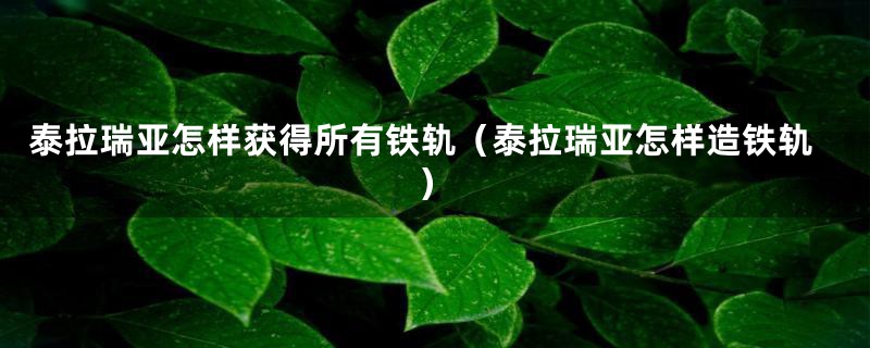 泰拉瑞亚怎样获得所有铁轨（泰拉瑞亚怎样造铁轨）