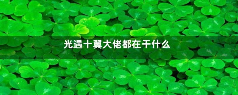 光遇十翼大佬都在干什么