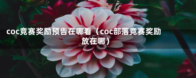 coc竞赛奖励预告在哪看（coc部落竞赛奖励放在哪）