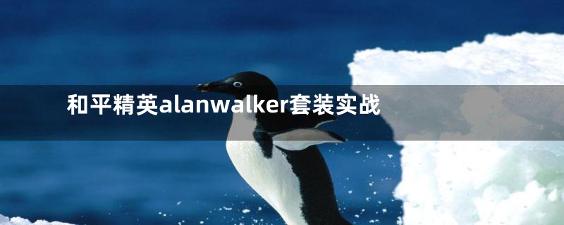 和平精英alanwalker套装实战