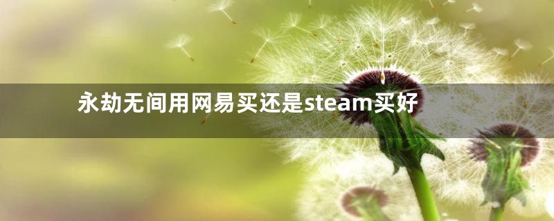 永劫无间用网易买还是steam买好