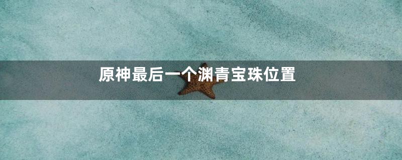 原神最后一个渊青宝珠位置