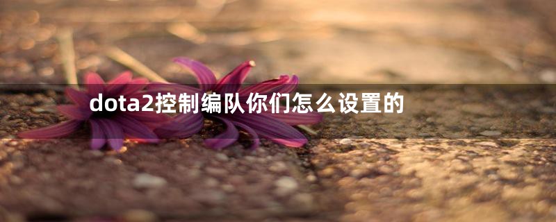 dota2控制编队你们怎么设置的