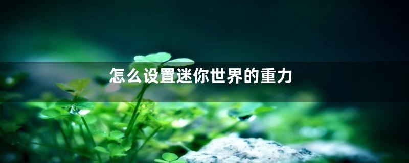 怎么设置迷你世界的重力