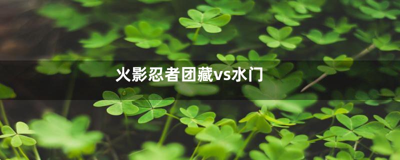 火影忍者团藏vs水门