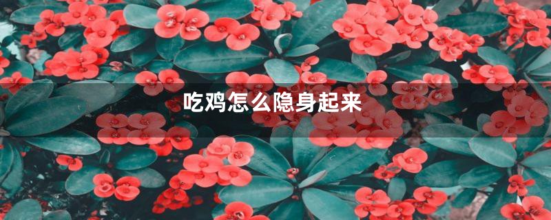 吃鸡怎么隐身起来